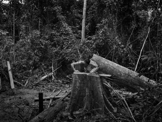 © Tommaso Protti - « Amazônia », 2019