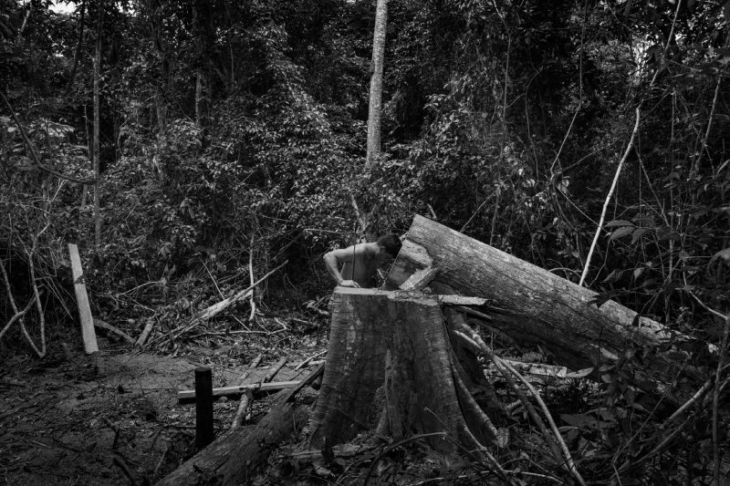 © Tommaso Protti - « Amazônia », 2019