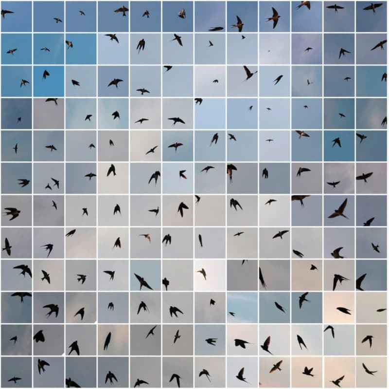 OPENEYE N°15 Le Bleu du Ciel - maquette (c) Edouard Taufenbach - Cliquez sur la photo pour écouter la musique