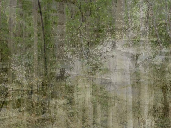 Catherine Li - Nature City