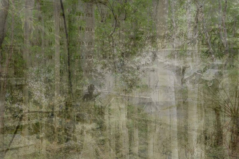 Catherine Li - Nature City