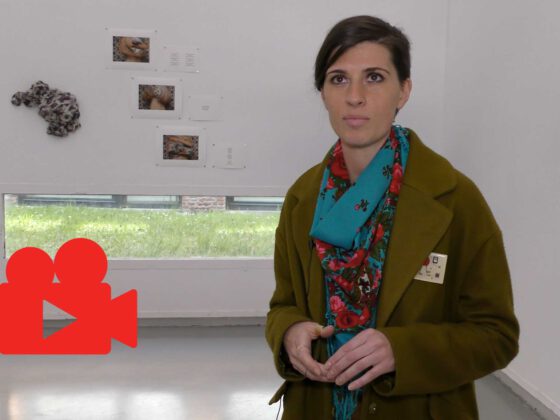 Fanni Pentel – Des sens, distiller les mémoires, 2019