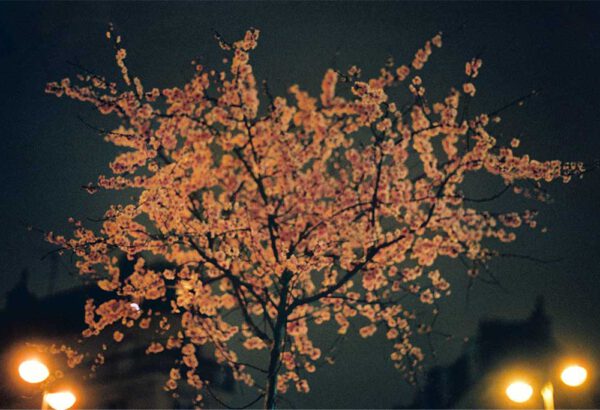 AbiNader_Clara_TimeIsaThiefMetoo_Art02_01 Clara ABI NADER - France / Liban – « En soi »