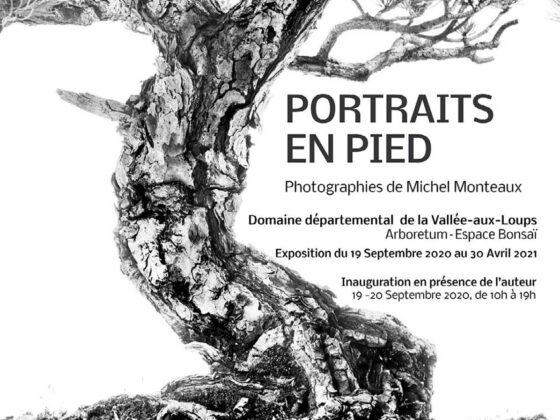 " Portraits en pied " une exposition de Michel MONTEAUX