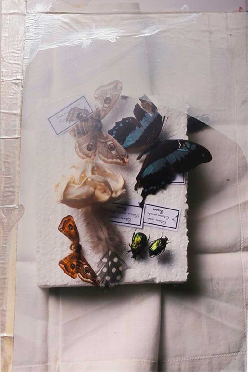 © Carole Charbonnier, Photographie Monotype #03