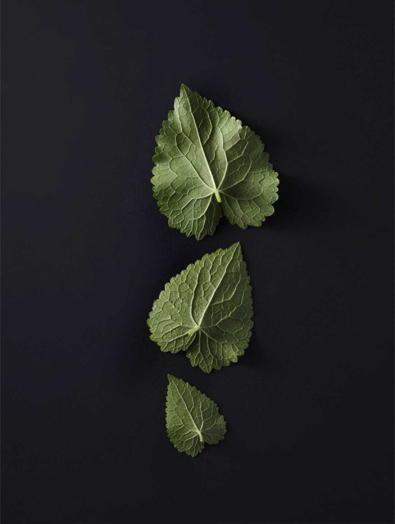 Olivier Placet
