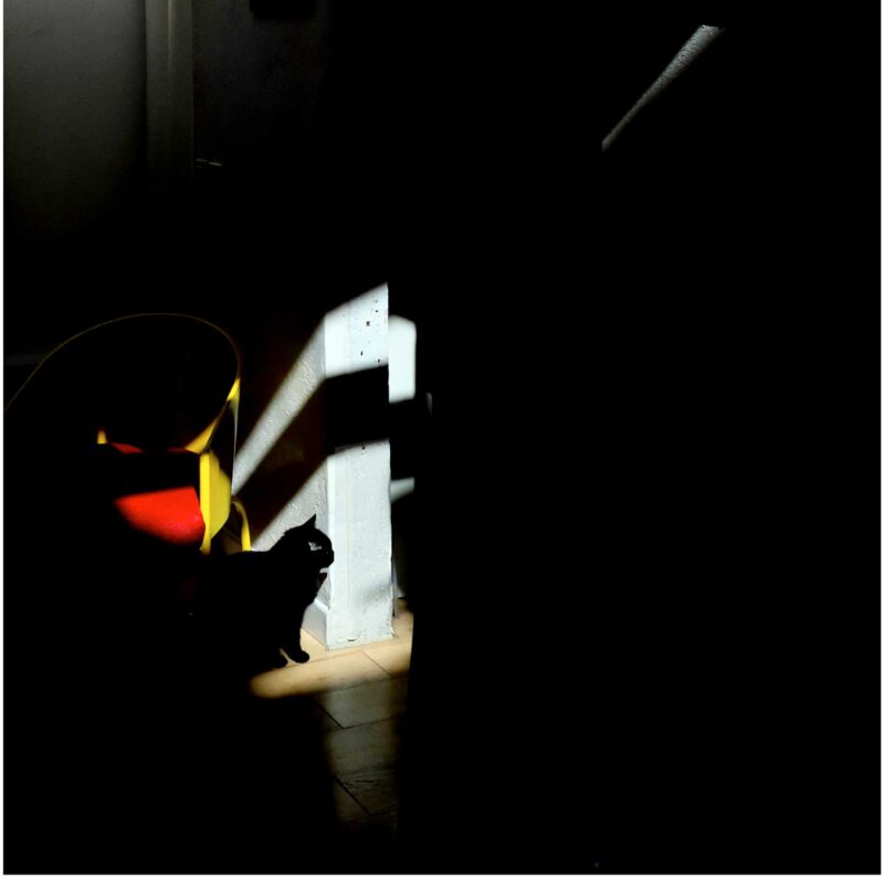 © Thierry Camus
