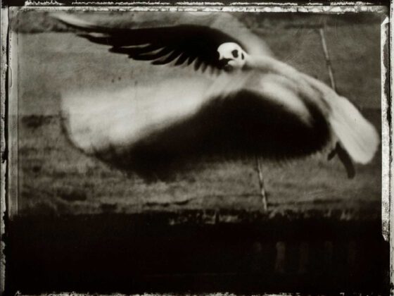 © Sarah MOON - Passé Présent