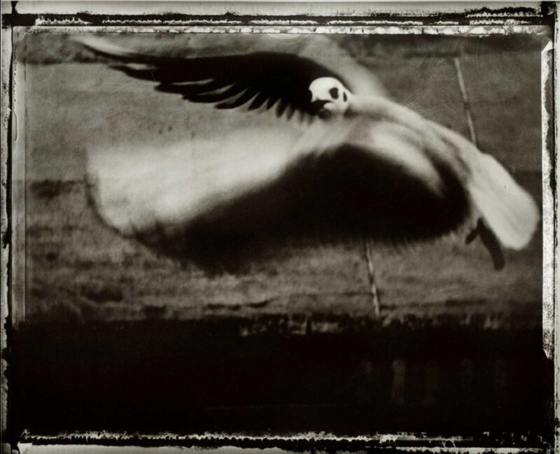 © Sarah MOON - Passé Présent