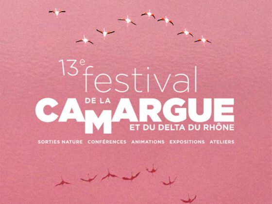 13e FESTIVAL DE LA CAMARGUE ET DU DELTA DU RHÔNE