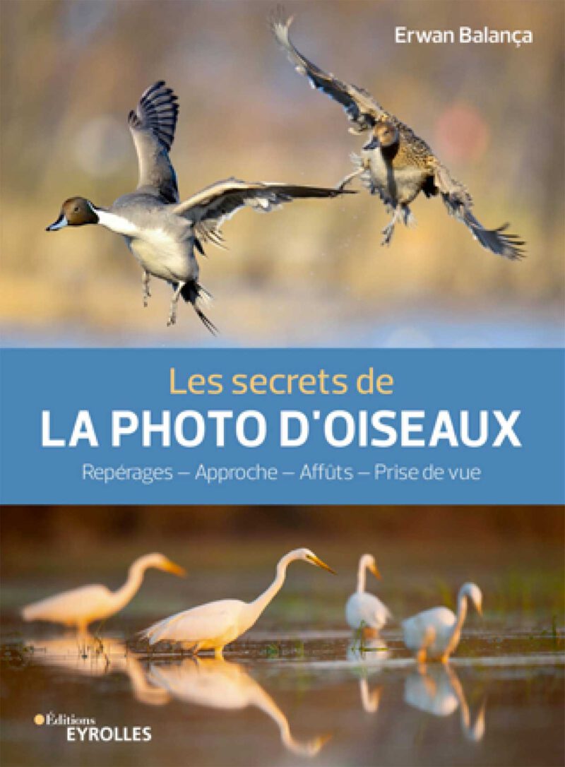 Les secrets de LA PHOTO D'OISEAUX - Erwan BALANÇA