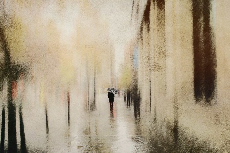 © Daniel CASTONGUAY - Quotidian Life