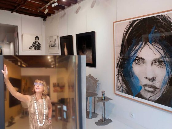 Galerie Arcturus