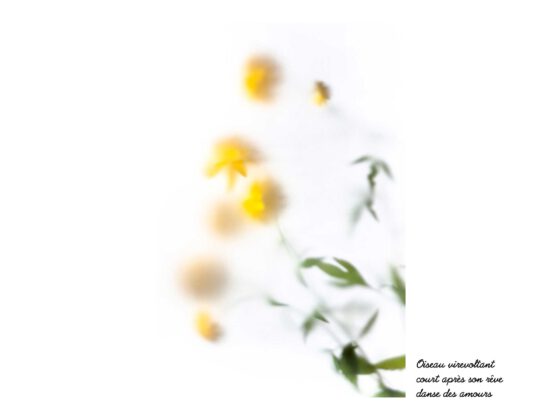© Jean-Luc NIELS - Le jardin de Marie-Claude