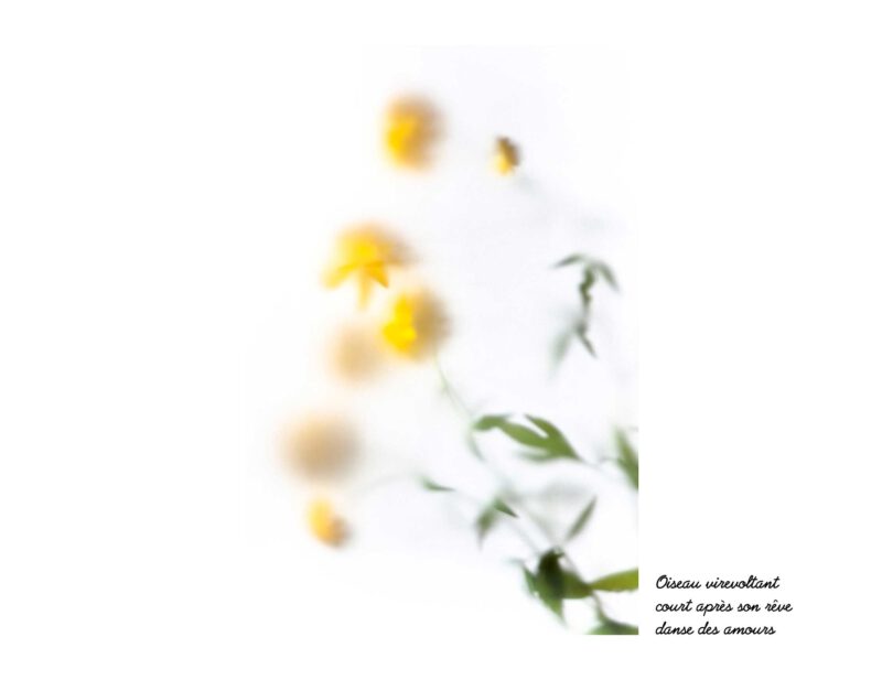 © Jean-Luc NIELS - Le jardin de Marie-Claude