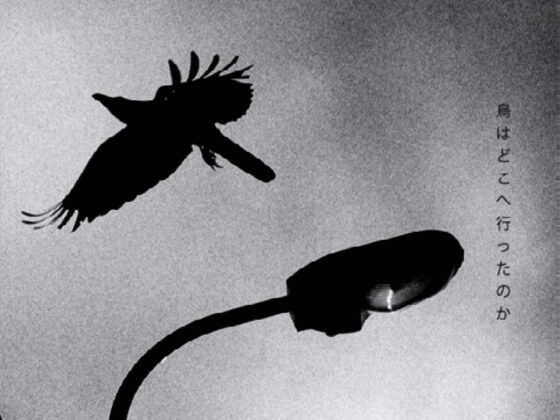 © Nicolas ST-PIERRE