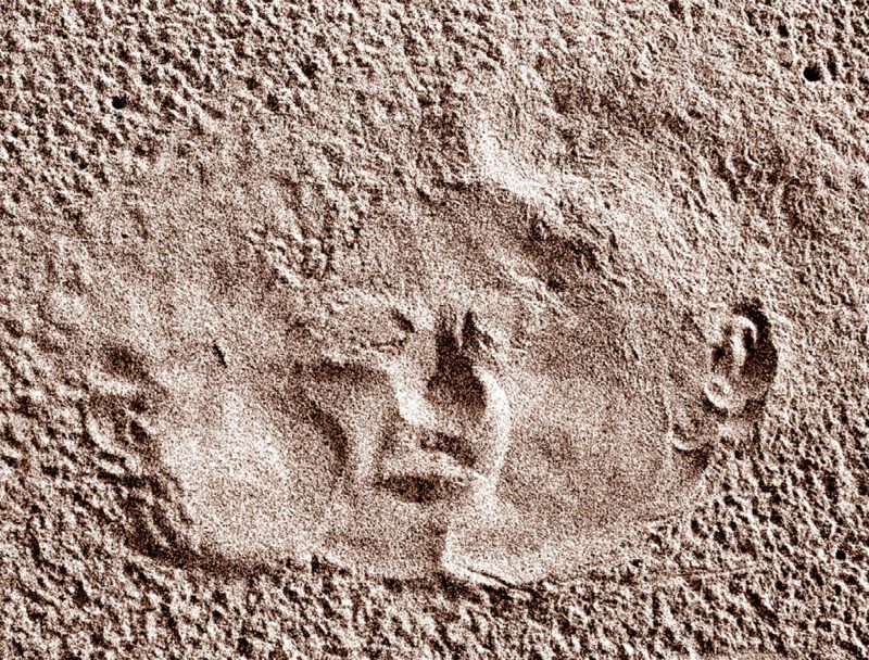 © Raymond MARTINEZ - Traces de vie