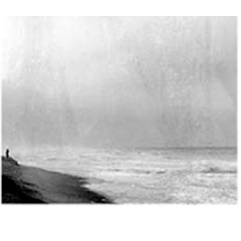 © ADRIENNE ARTH