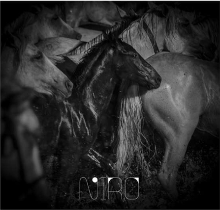 © NIRO