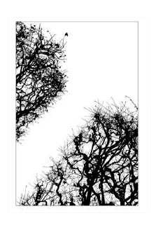 © YANN GAILLOT